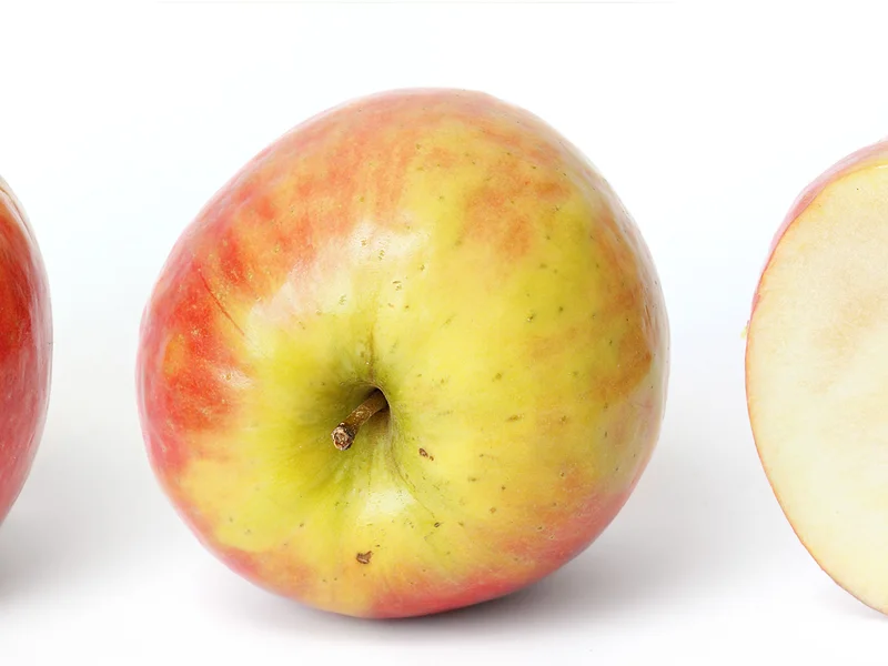 Apple growing in a UK garden