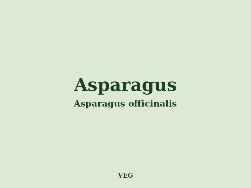 Asparagus growing in a UK garden