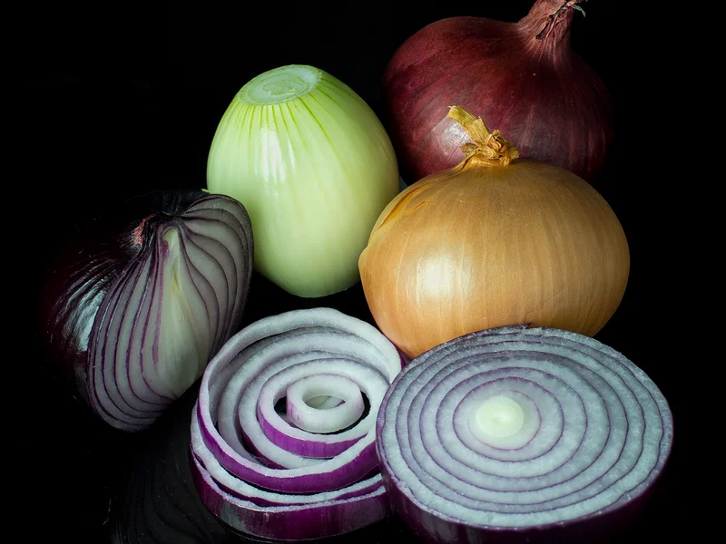 Onion growing in a UK garden