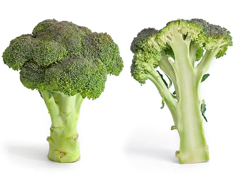 Purple Sprouting Broccoli growing in a UK garden