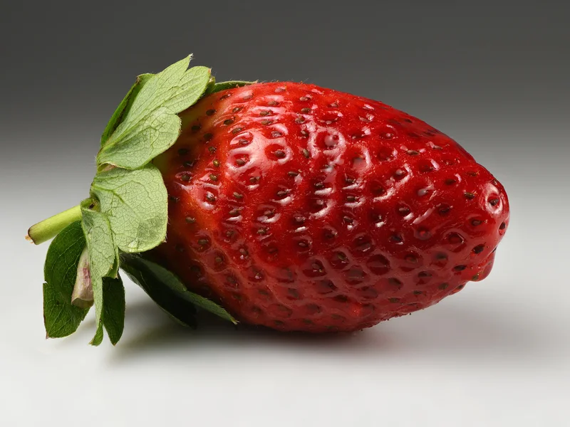 Strawberry growing in a UK garden