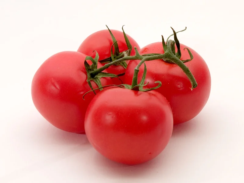 Beef Tomato growing in a UK garden